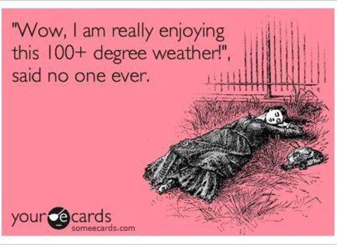 Nancy Harris' album, Timeline Photos