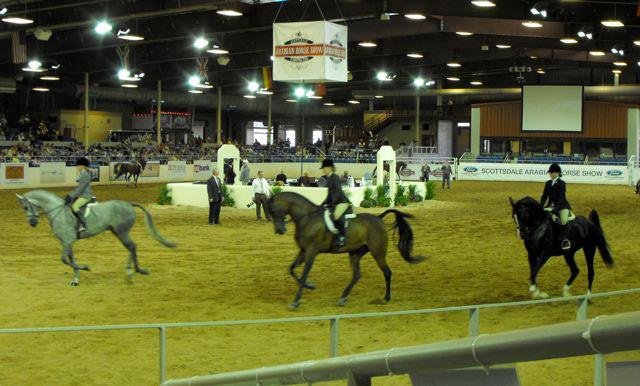 Janice Andersen's album, Arabian Horse Show 2013
