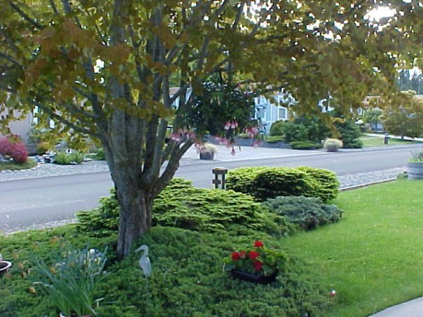 Barbara Kent's album, Yard Pictures