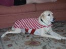 Marty Fleming's album, Timeline Photos