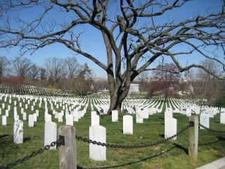 Tracy Wayt's album, Spring Break in DC