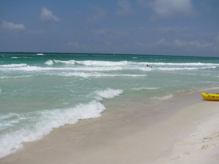 Sally Smith's album, PCB trip ~~ 2011