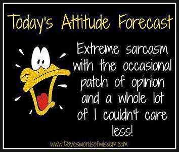 Steven Smith's album, Timeline Photos