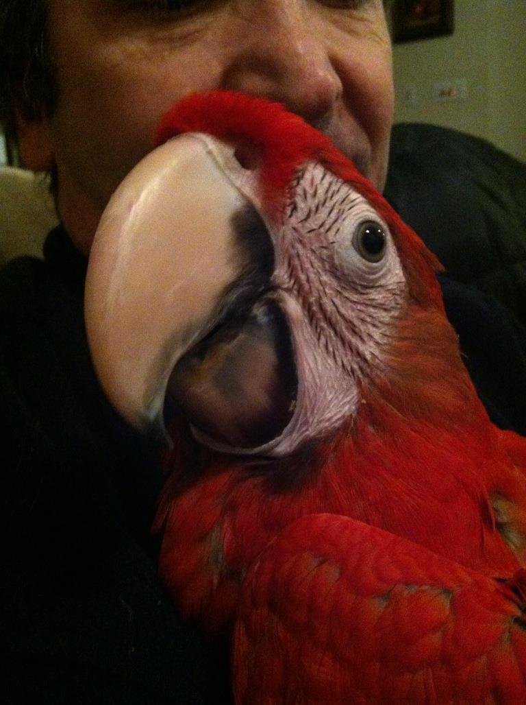 Stanley Librach's album, iOS Photos