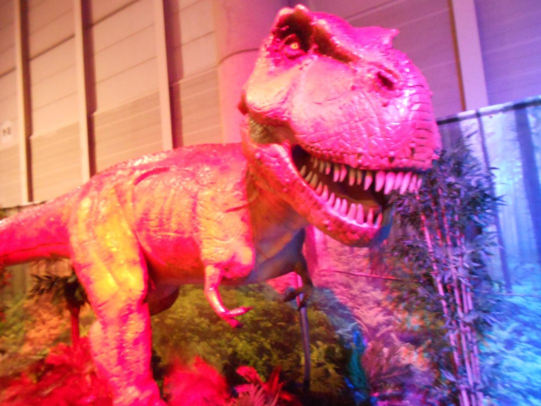 Cindy Lee's album, Discover The Dinosaurs
