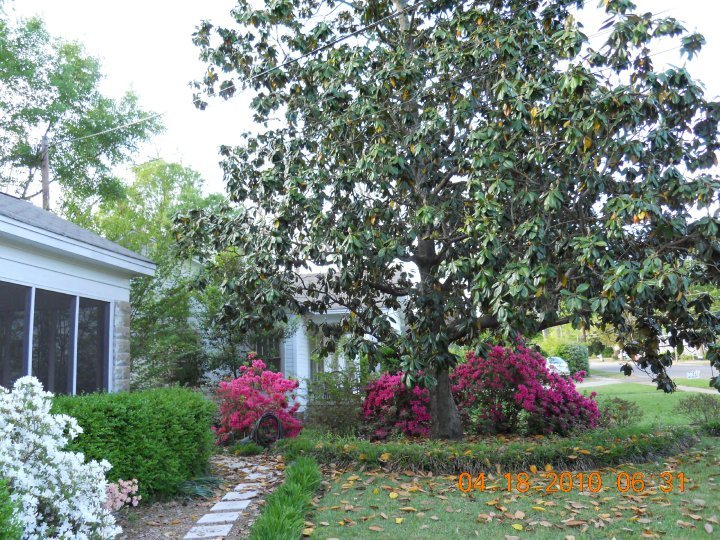 Debbie Davis' album, Spring 2010