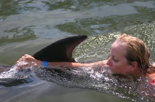 Jane McGill's album, playing with dolphins