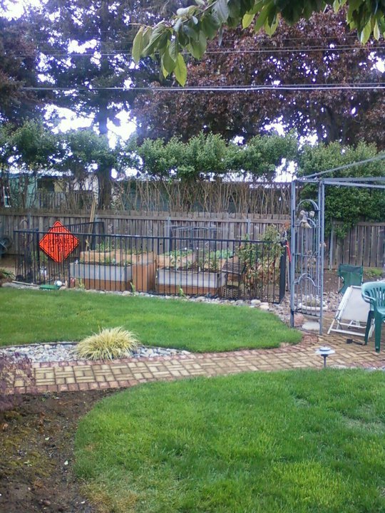 Mark stanton's album, My House and yard