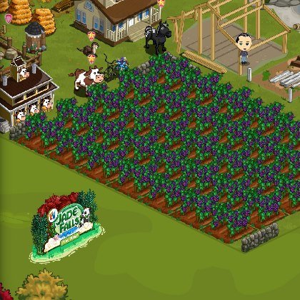 Thomas Cameron's album, FarmVille Photos