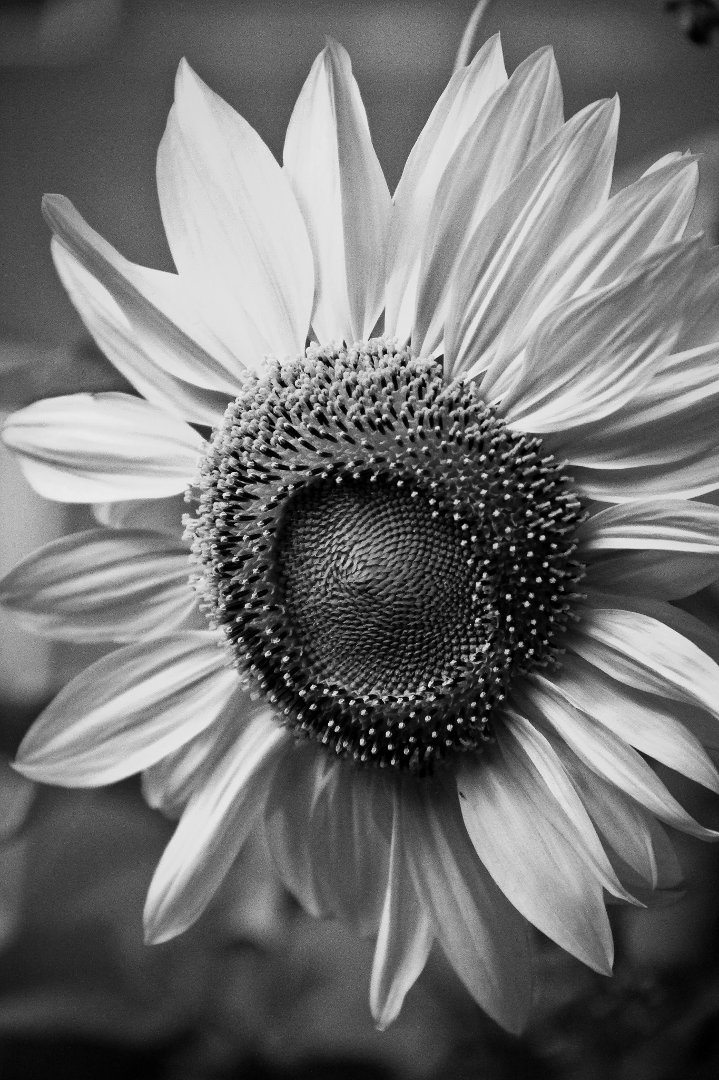 myron holmes' album, Timeline Photos