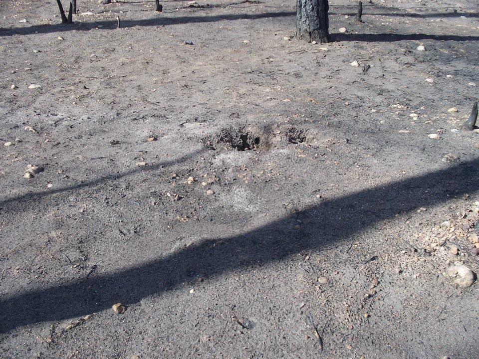 Al Brien's album, Bastrop Roadside Fire Damage
