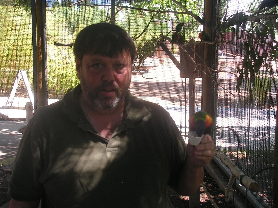 Andy Doniger's album, Profile Pictures