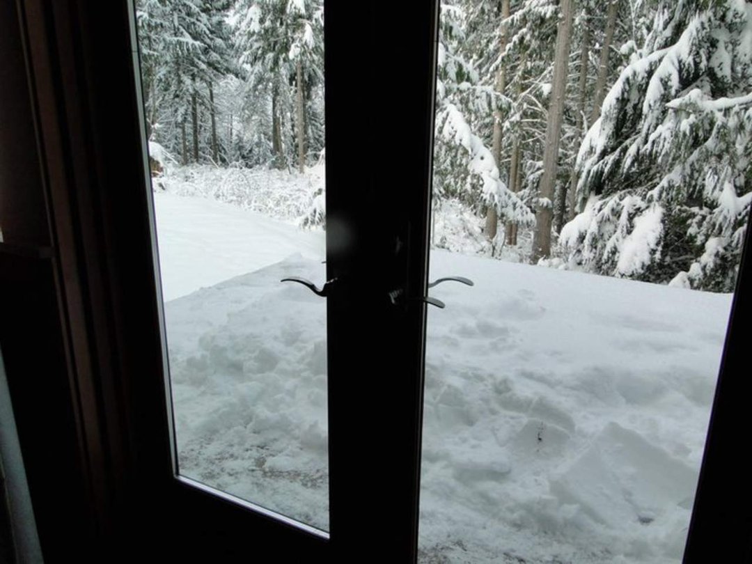 Coralee Green's album, Snow 2/2011