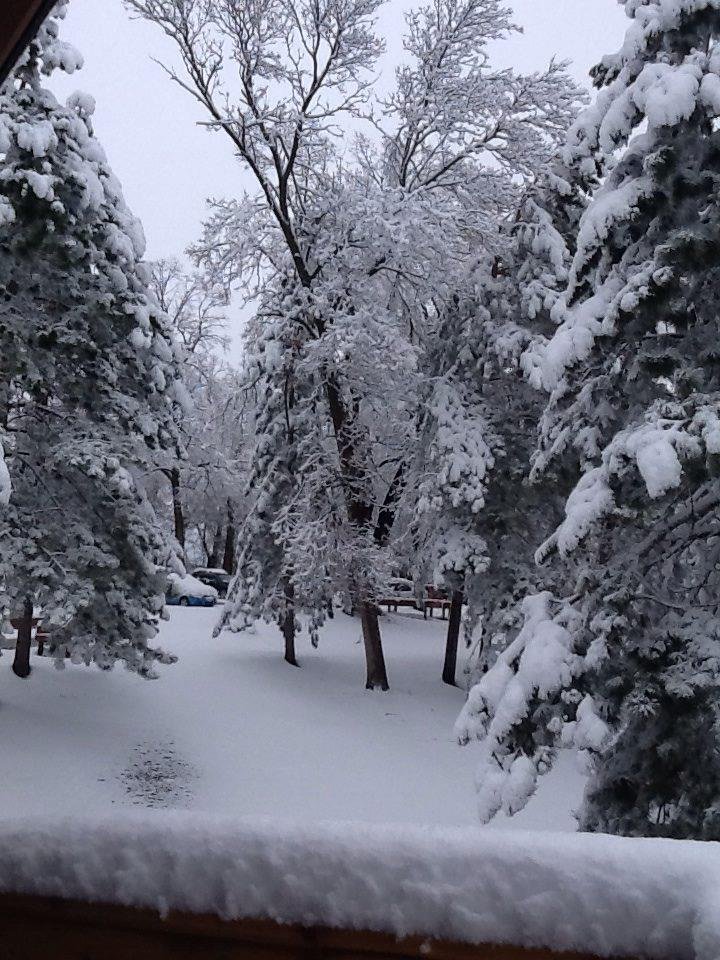 Jeane Ruston's album, iOS Photos