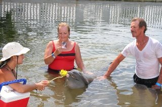 Jane McGill's album, playing with dolphins