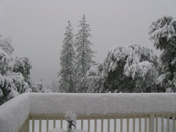 Roger Latimer's album, Snow