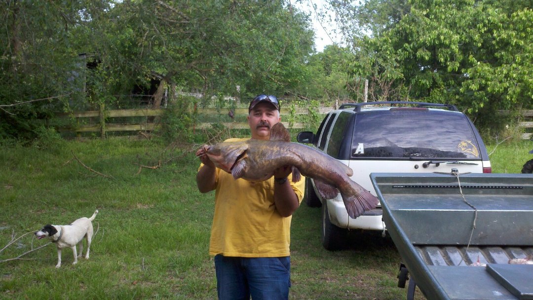 craig pearson's album, Mobile Uploads