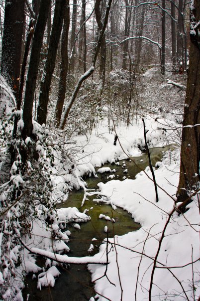 William Ralph's album, Snow in Dec. . .12/19/09