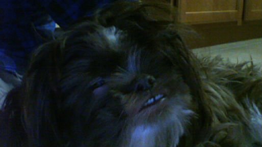 Claude Strass' album, Webcam Photos