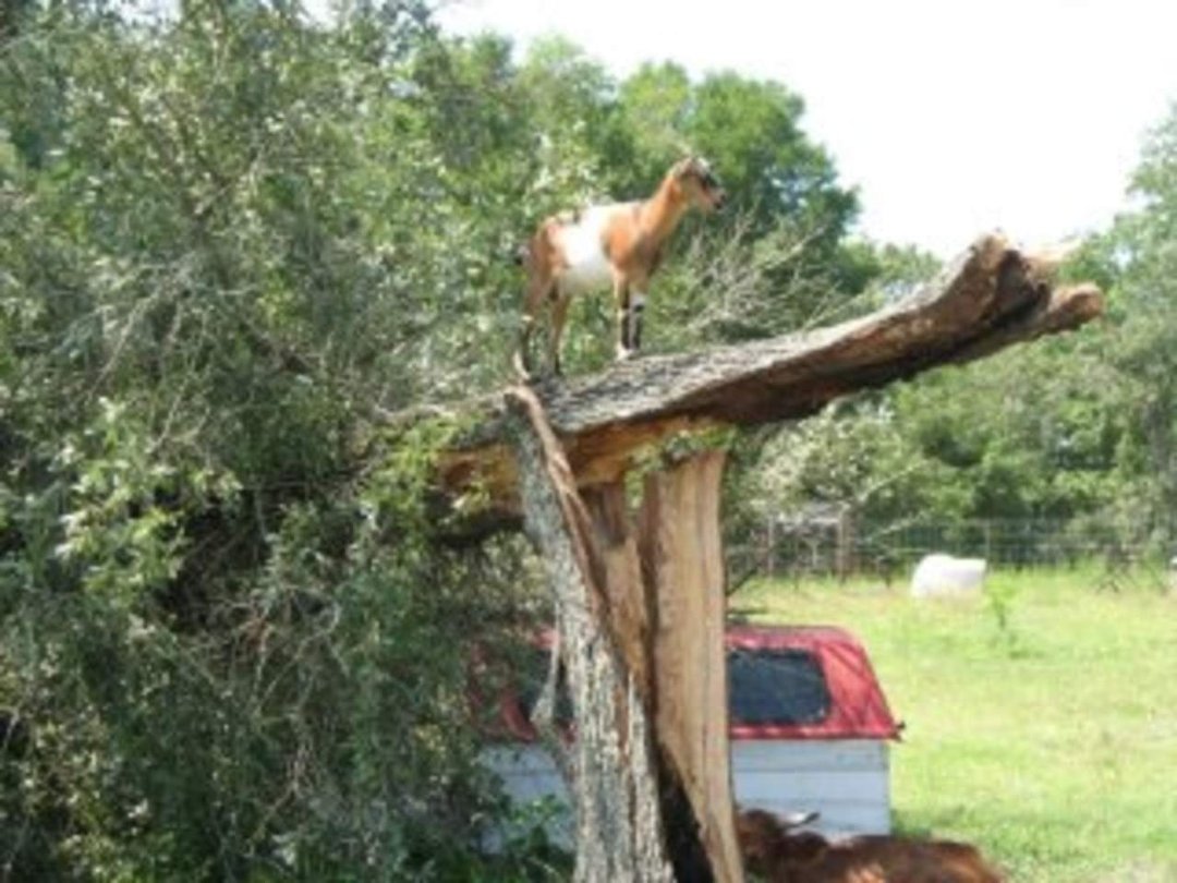 Vicki Waldren's album, storm 6-16-10