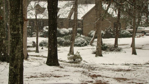 Perry Ballard's album, Snow in Opp Alabama