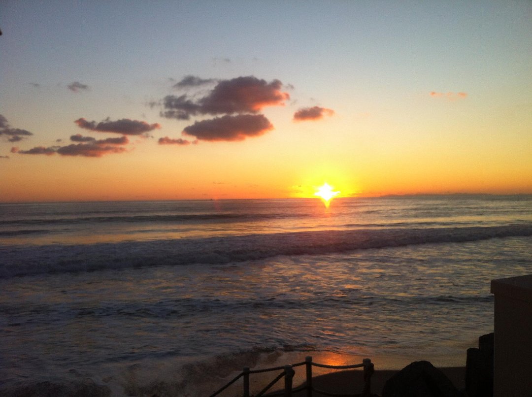 Sharon Anderson's album, Mobile Uploads