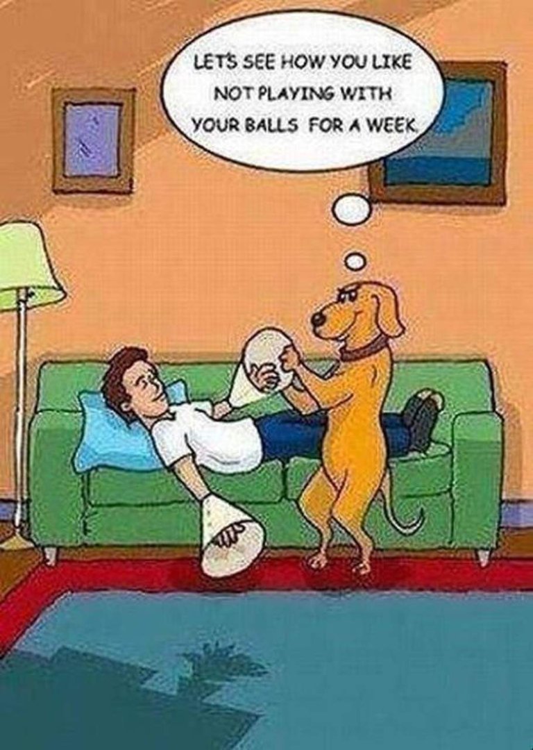 Terence Oliver's album, Timeline Photos