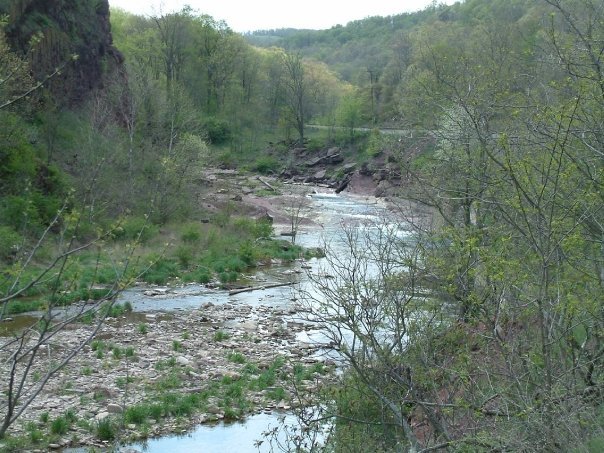 Gregory Condio's album, Fishing Wills Creek