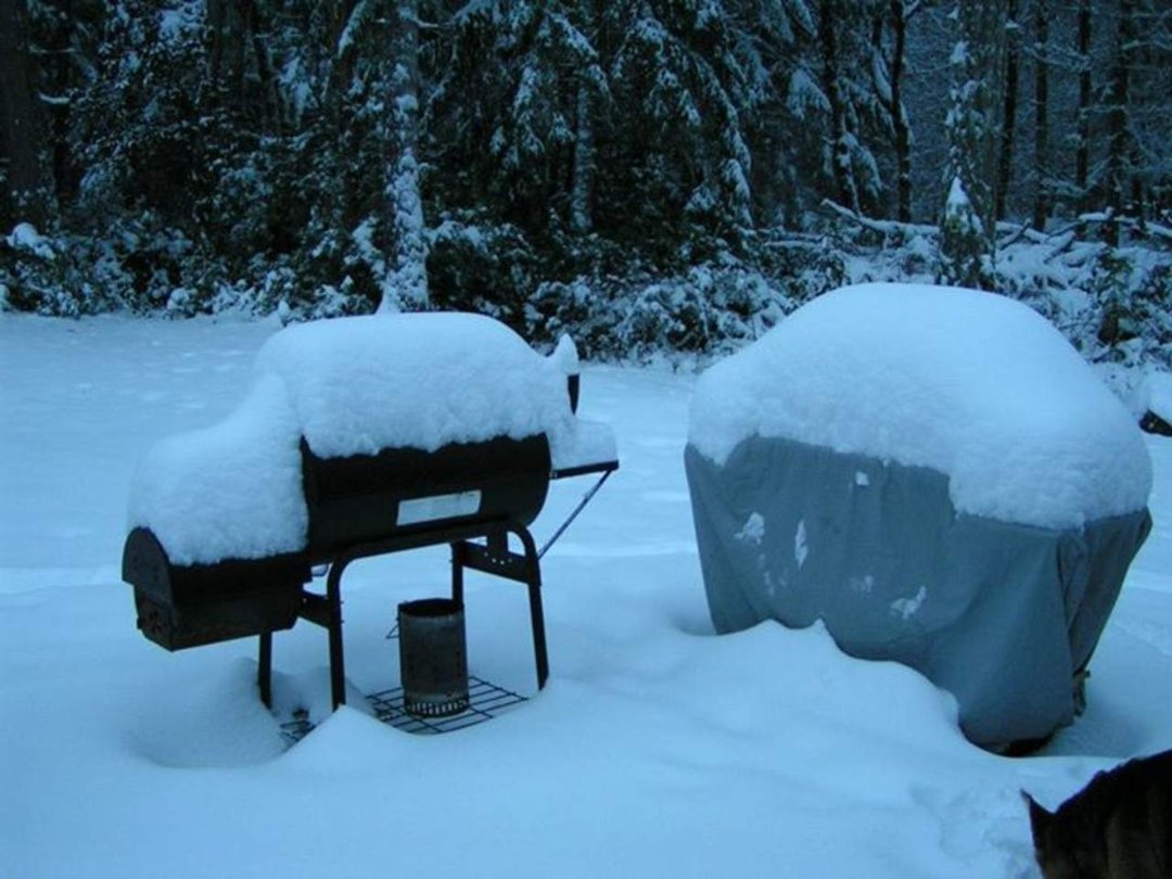 Sharon Worthington's album, Winter of 2012