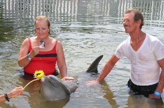 Jane McGill's album, playing with dolphins