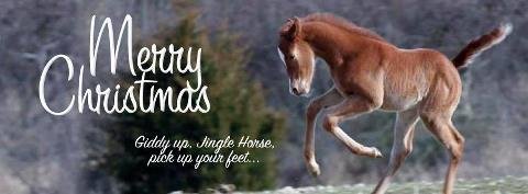 Christopher Burdick's album, Cover Photos