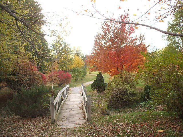 Randy Denniston's album, Cover Photos