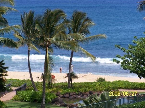 James (Mike) Watson's album, Hawaii 2006