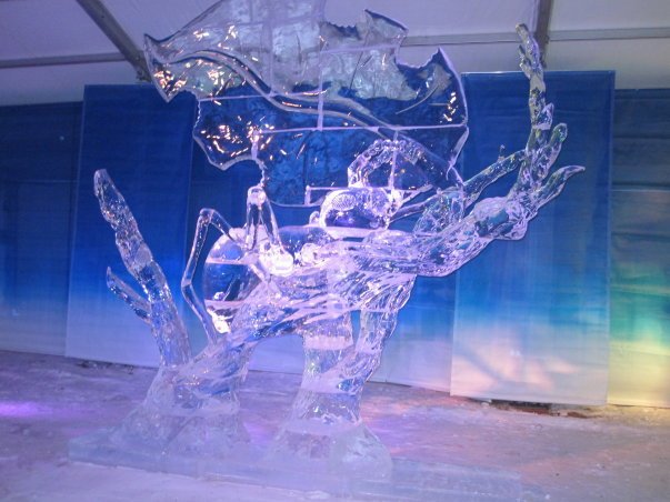 Beverley Reid's album, Family Day - Winterlude