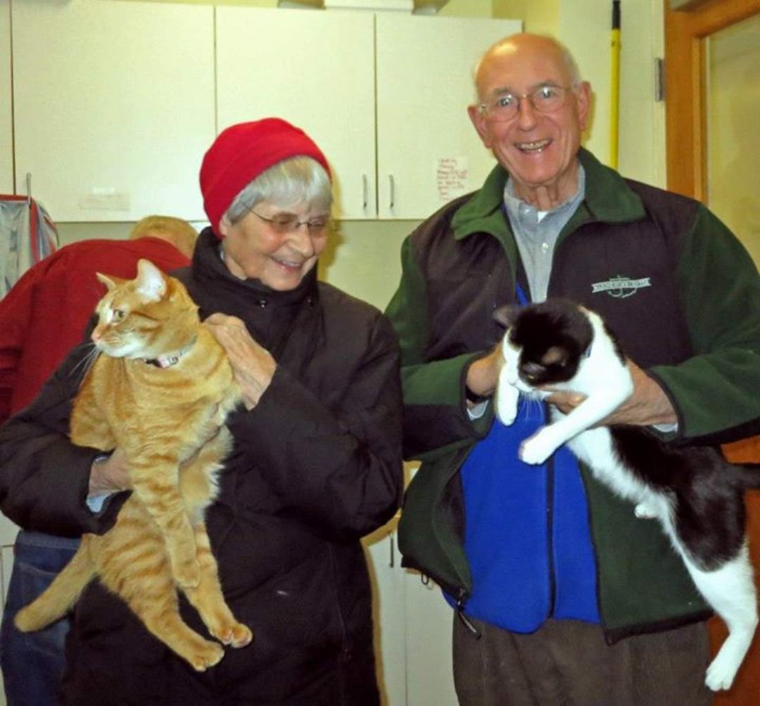 Lori Smith's album, Today's Adoptions