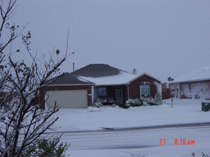 Sean Fleming's album, Texas snow 2/11/2010