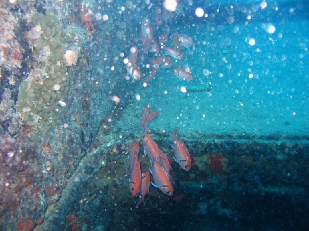 Steven Clem's album, St Maarten Diving