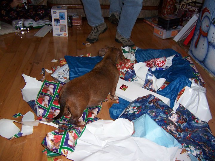 Dave Iden's album, Christmas 2010