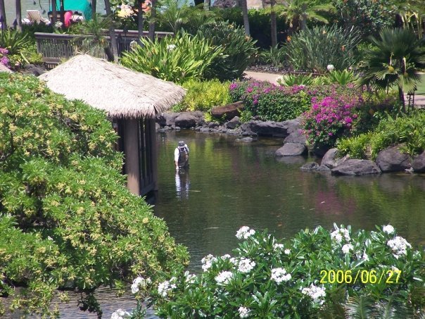 James (Mike) Watson's album, Hawaii 2006