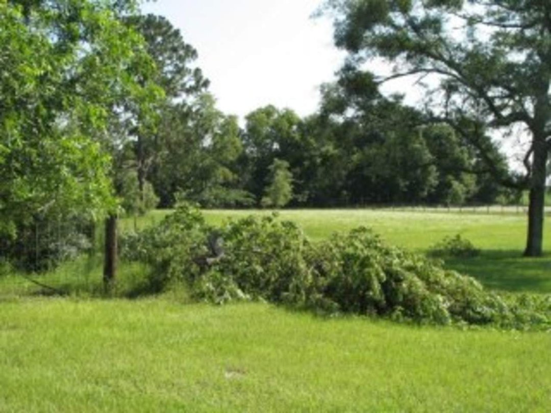 Vicki Waldren's album, storm 6-16-10