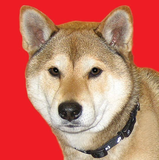 Dan Arriola's album, Profile Pictures