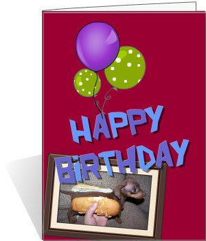 Abbagail Huntly's album, Birthday Cards Photos