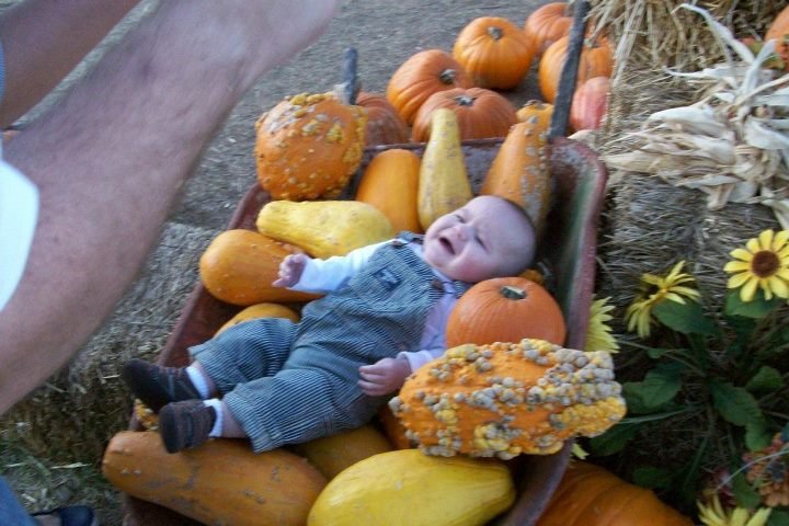 Doug Deiterman's album, Pumpkin Patch 2011