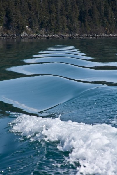 Alan MacKellar's album, First Shots Seen in Alaska: May, 2009