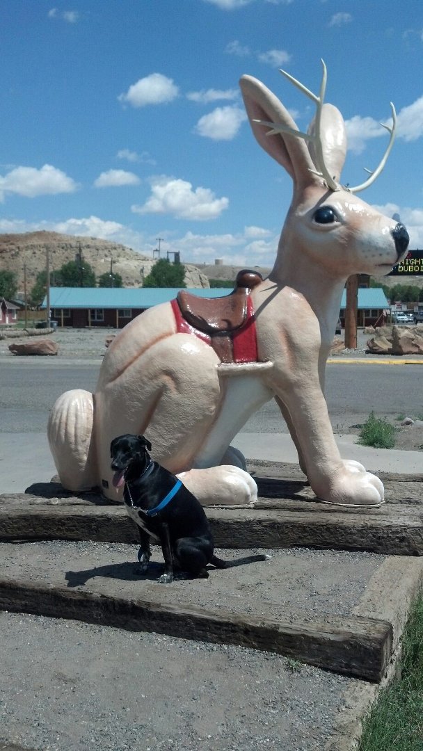 Aimee Garcia's album, Mobile Uploads