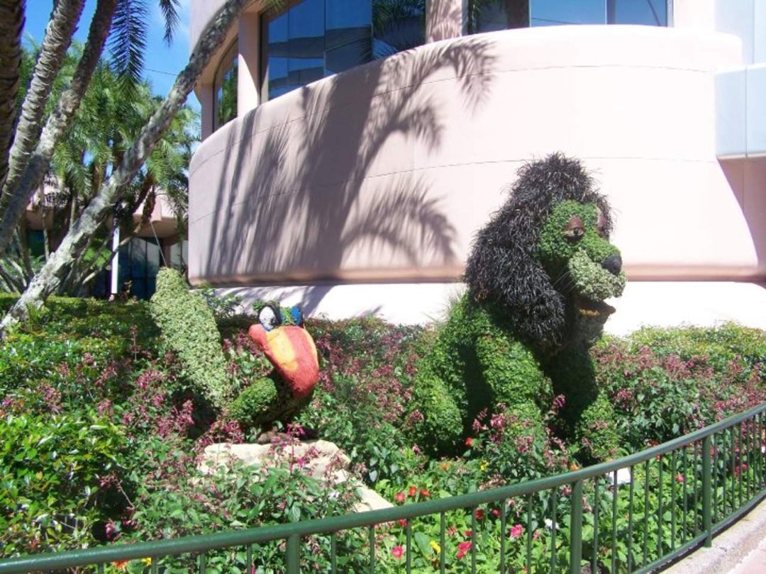 Peter Ticknor's album, Flower show at Epcot