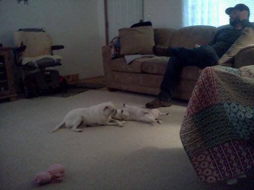 Tom Randles' album, Mobile Uploads