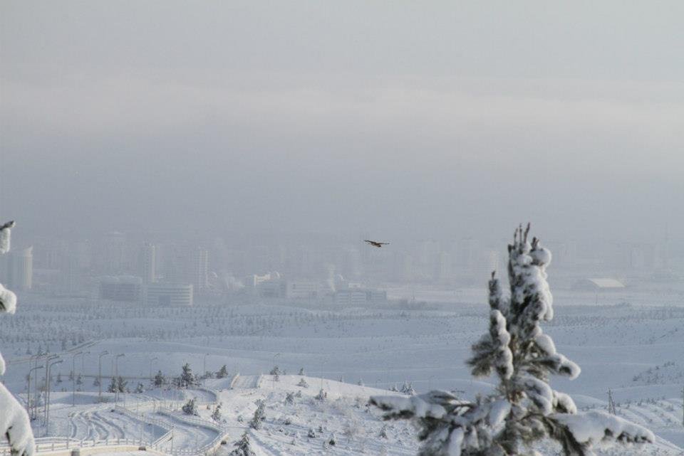Bill Leaf's album, Snowy Kopet Dag - March 8, 2013