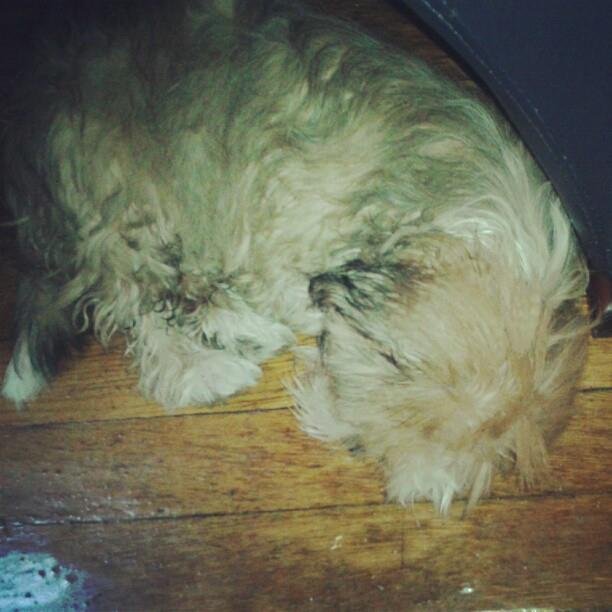 Russell Stringfield's album, Instagram Photos