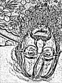 John Lafond's album, Profile Pictures